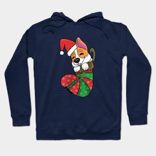 Stocking Stuffer Corgi Puppy Hoodie